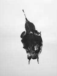 Ohne Titel, 2009