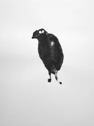 Ohne Titel, 2009