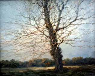 Sonnenbeschienener Baum