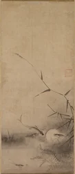 Fische und Seetang, 16. Jahrhundert