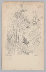 Landschaft