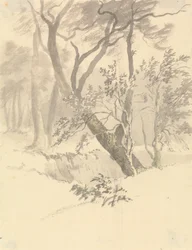 Der Wald