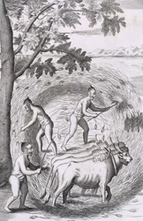 Die Art, ihren Reis zu stampfen, aus An Historical Relation of the Island Ceylon, veröffentlicht 1681 (Gravur)