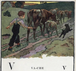 Kinderbuch „Ich werde lesen - Methodisches und lustiges Alphabet von einem Vater“ 1926. Illustration von Robert Salles (1871-1929). Abecedarium: Buchstabe V wie Kuh. Ein Junge hilft einem Hund, treibt eine Herde Kühe auf ein Feld