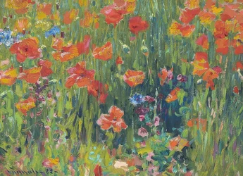 Mohnblumen