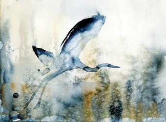 Anmutiger Reiherflug