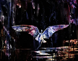 Mystischer Nachtflug