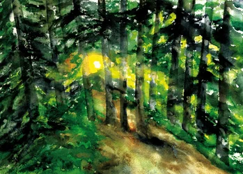 Sonnenbeschienener Waldweg