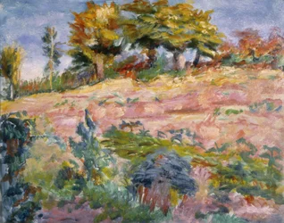 Landschaft