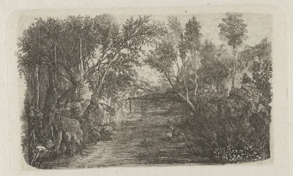 Landschaft mit Bach und Bäumen an den Ufern