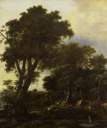 Waldlandschaft mit Unterstand