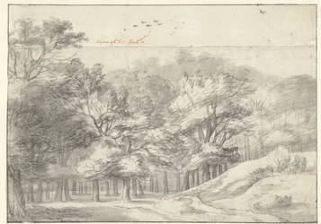 Ansicht im Haagse Bos