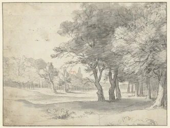 Ansicht im Haagse Bos, mit der Grote Kerk, Den Haag, in der Ferne