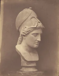 Kopf der Minerva [Dreiviertelansicht]