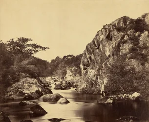 Reiherbecken am Lledr.