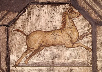 Ein Pferd, Detail aus Orpheus bezaubert die Tiere