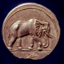 Karthagische Zivilisation: Medaille, die einen Elefanten darstellt, der es dem karthagischen General Hannibal ermöglichte, die Alpen zu überqueren