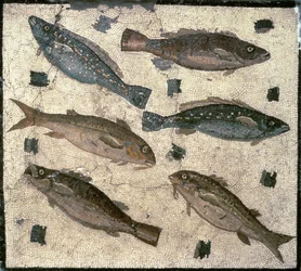 Fische