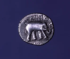 Silbermünze mit einem Elefanten, dem Fetisch-Tier der Scipionen. Lucius Caecilius Metellus eroberte die karthagischen Elefanten 251 v. Chr. 47-46 v. Chr.