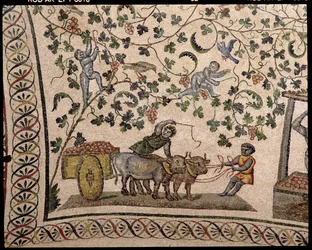 Die Weinlese