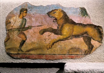 Gladiator kämpft gegen einen Löwen