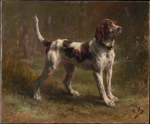 Ein Limier Briquet Hund