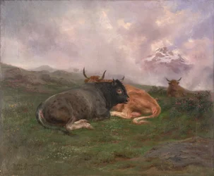 Rinder ruhen auf einem Hügel in den Alpen, 1885