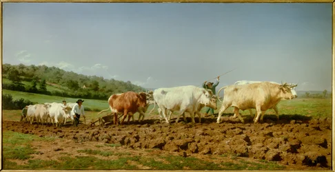 Das Pflügen in Nivernais, der Schattenwurf Gemälde von Marie Rosalie Bonheur genannt Rosa Bonheur (1822-1899) 1849 Paris, Musée d