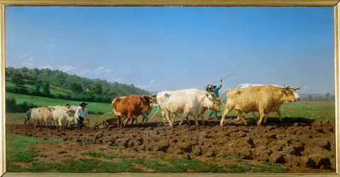 Pflügen im Nivernais