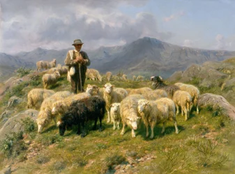 Hirte der Pyrenäen