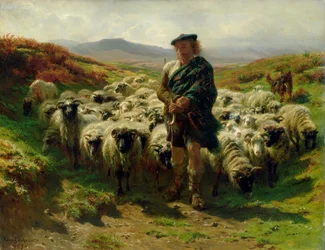 Der schottische Hochlandschäfer, 1859
