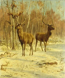 Zwei Hirsche in einer Lichtung im Winter