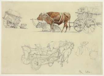 Studien von slowakischen Bauernwagen mit Ochsen und Pferden