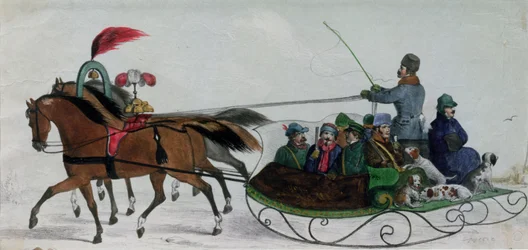 Pferdeschlitten (digitales Detail)