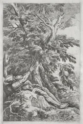 St. Wilhelm der Einsiedler