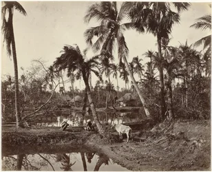 Dorfansicht in Bengalen, Indien
