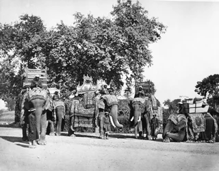 Eine Gruppe von Elefanten des Vizekönigs und ihre Staatstrappings, ca. 1860er Jahre