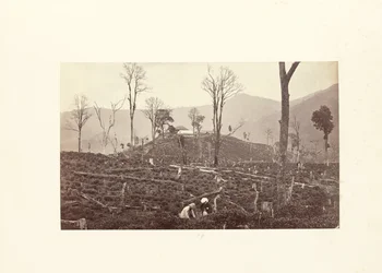 Darjeeling; Ansicht der Selim-Teeplantage mit der oberen Fabrik und dem Bungalow