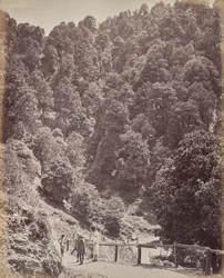 Shimla. Blick nördlich des Mount Jakko
