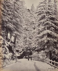 Shimla. Blick auf die Mall im Winter