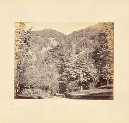 Simla; Jakko, von "Oakover" (Gesamtansicht von der Tonga-Straße)