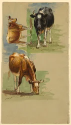Zeichnung, Vieh, Ochsen, 1875–80