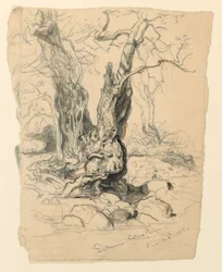 Studien: Bäume, 23. Dezember 1885