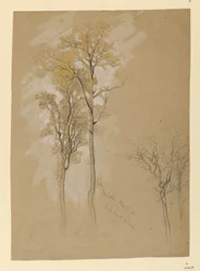 Eichen, Lady Wood Lane, Irvington