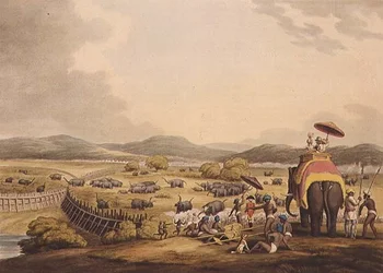 Elefanten in ein Keddah treiben, aus "Oriental Field Sports", verlegt von Edward Orme