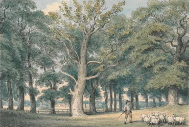 Ein Parklandschaft mit Schäfer und Schafen