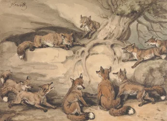 Neun Füchse, die sich um einen Baum versammelt haben: eine Illustration zu Äsops Fabel „Der Fuchs, der seinen Schwanz verlor“