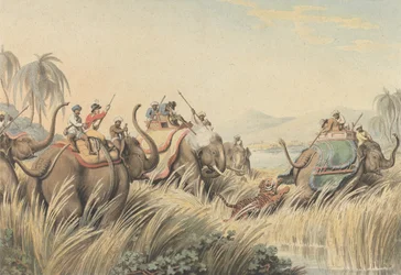 Der in die Enge getriebene Tiger: eine Illustration zu Kapitän Thomas Williamsons „Oriental Field Sports“