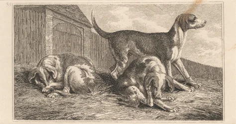 Drei Hunde