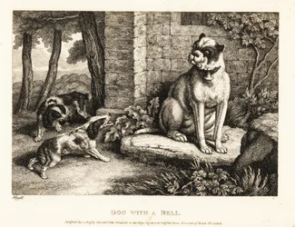 Zwei Spaniels bellen einen Bulldogge mit einer Glocke am Halsband an. 1811 (Radierung)